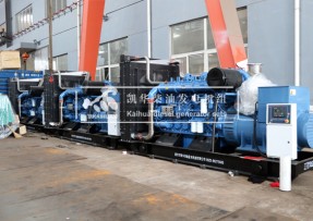 2025板链提升机全规格定制 宁津瑞佑机械厂家直供 重载稳定